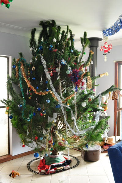 decorated fresh christmas tree