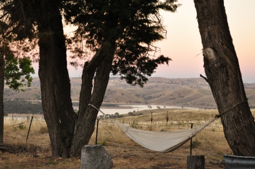 Hammock slung between two trees, overlooking rolling hills and the lake - with no other signs of life as far as the eye can see