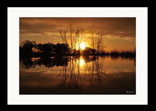 Golden-Sunset-Menindee-Lake